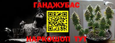 a pvp Гусь-Хрустальный