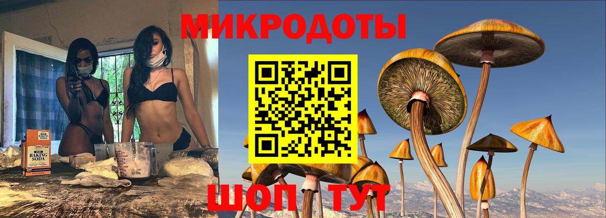 магазин продажи наркотиков  Галлюциногенные грибы GOLDEN TEACHER  Вход с VPN  Каспийск  Галлюциногенные грибы ЛСД 